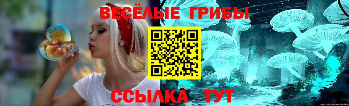 Кемерово  Галлюциногенные грибы ЛСД  Галлюциногенные грибы прущие грибы  Вход с VPN 