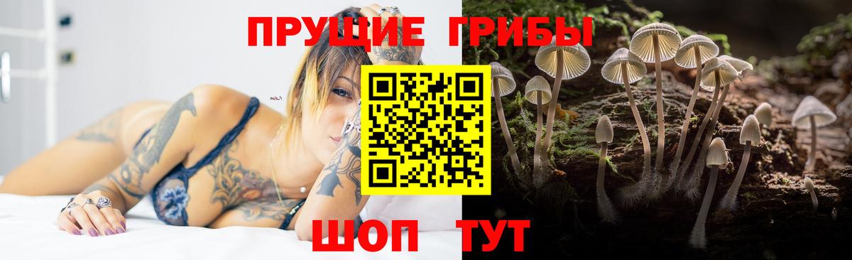 Псилоцибиновые грибы MAGIC MUSHROOMS Кемерово